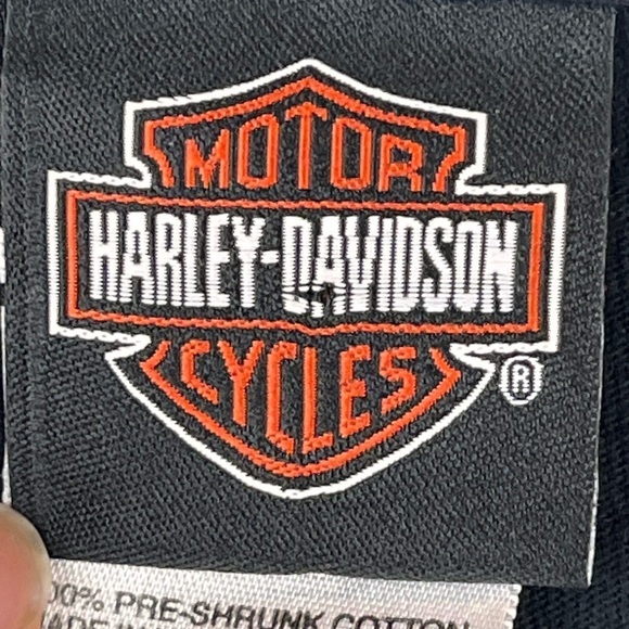 HARLEY-DAVIDSON Men's Pin Up Graphic Tee Sz 3XL Long Sleeve Beefy  Spellout - Picture 2 of 14